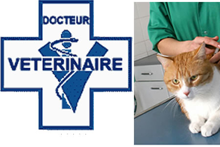 Photo Enseigne CLINIQUE VÉTÉRINAIRE